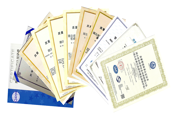 锲而不(bù)舍推提升行(xíng)動，潤物(wù)無聲保發展質量 ----“十三五”時(shí)期全局質量工(gōng)作(zuò)回顧