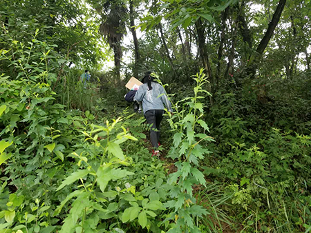 做(zuò)，就(jiù)要(yào)努力做(zuò)好(hǎo) --夷陵區(qū)小(xiǎo)溪塔街(jiē)辦宅基地(dì)使用(yòng)權确權登記頒證項目紀實