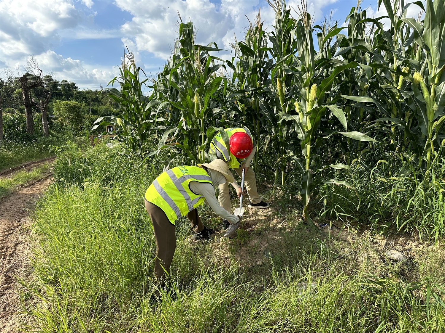生(shēng)态環境領域