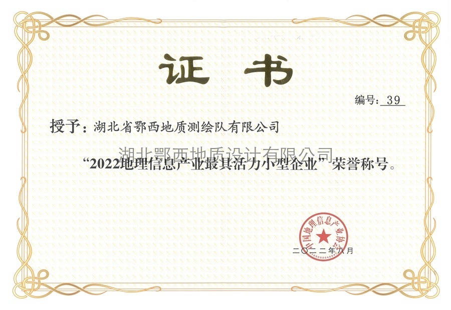 地(dì)理(lǐ)信息産業(yè)最具活力小(xiǎo)型企業(yè)