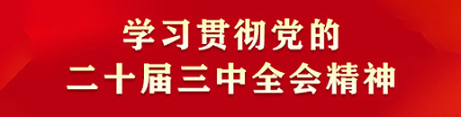 學習(xí)貫徹黨的(de)二十屆三中全會(huì)精神