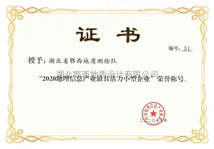 地(dì)理(lǐ)信息産業(yè)最具活力小(xiǎo)型企業(yè)